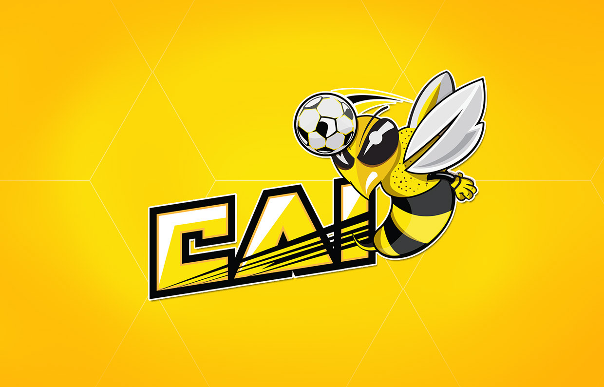 CAI品牌設(shè)計(jì)