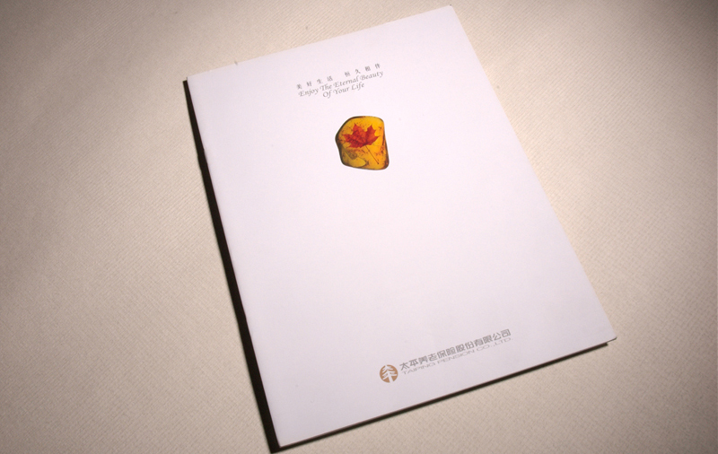 保險產品在品牌營銷中會存在哪些問題