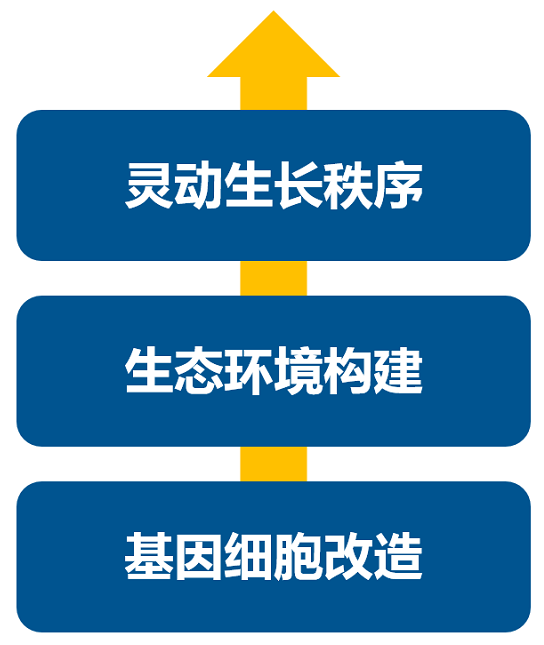 消費升級大時代，品牌如何進行戰略升級？
