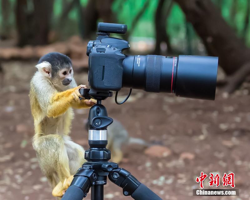 宣傳片拍攝時突出主體？