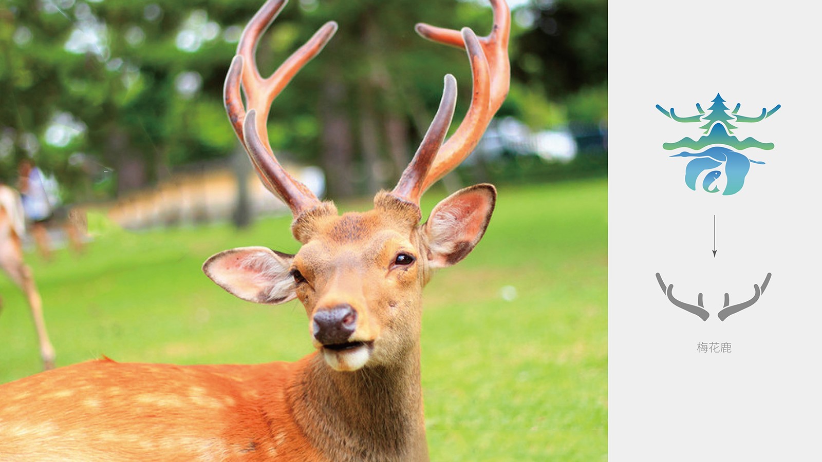 企業整套vi設計價格值不值？