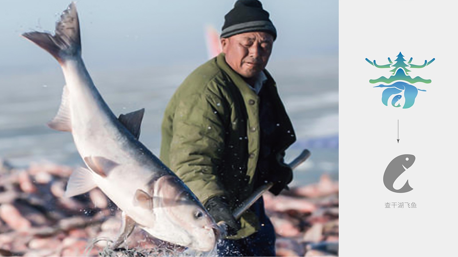 vi設(shè)計(jì)杭州有多少家設(shè)計(jì)公司?