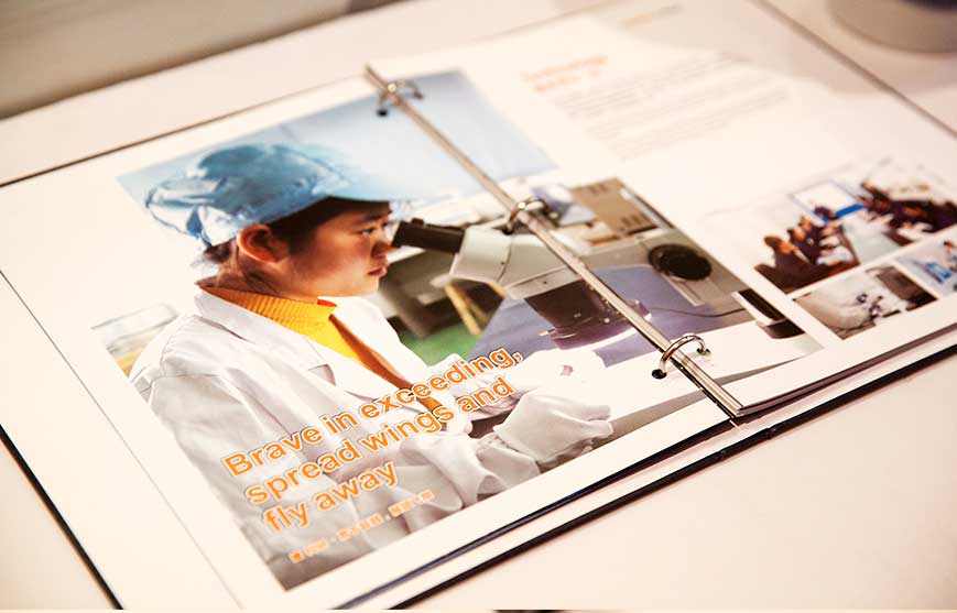 1627721936755168.jpg 56134775.JPG