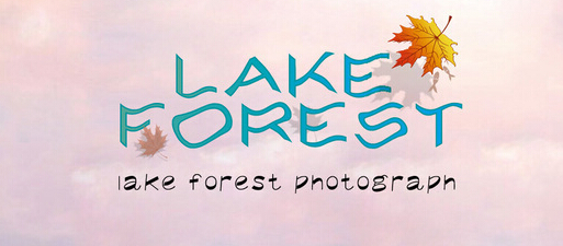 品牌設(shè)計(jì)