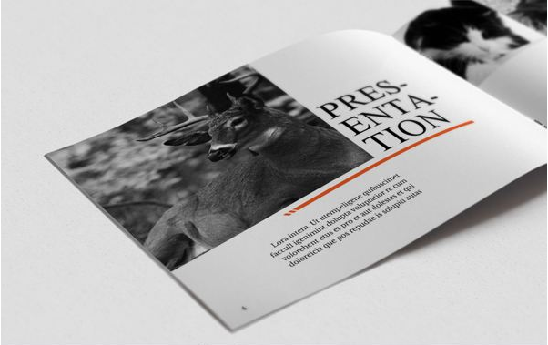 畫(huà)冊(cè)設(shè)計(jì)