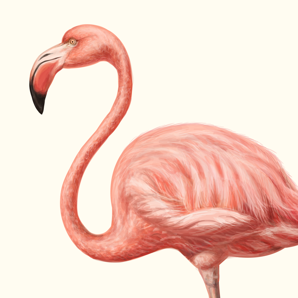 自然界野生動物來體現(xiàn)化妝品的純天然—護膚品包裝設(shè)計