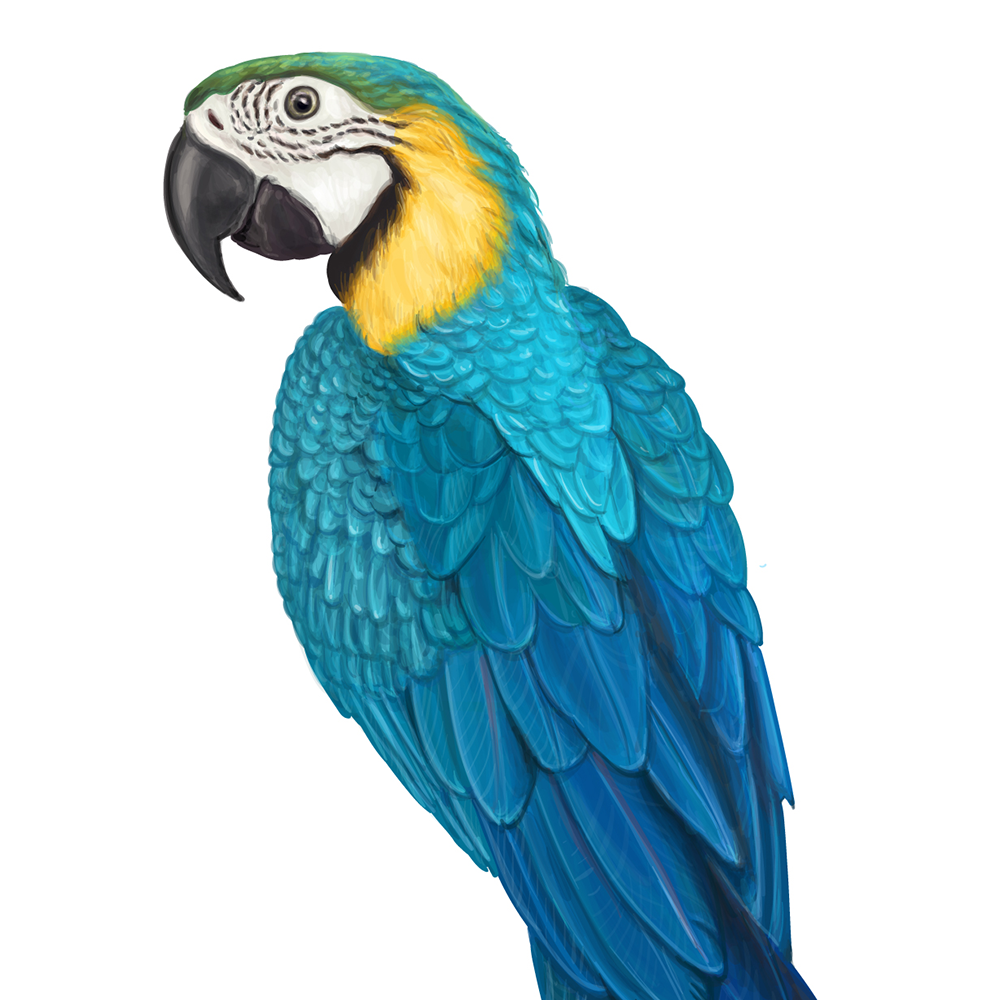 自然界野生動物來體現(xiàn)化妝品的純天然—護膚品包裝設(shè)計