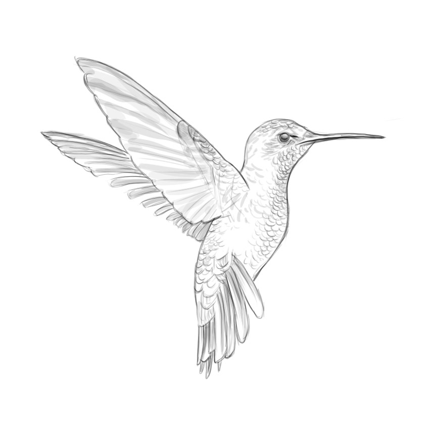 自然界野生動物來體現(xiàn)化妝品的純天然—護膚品包裝設(shè)計