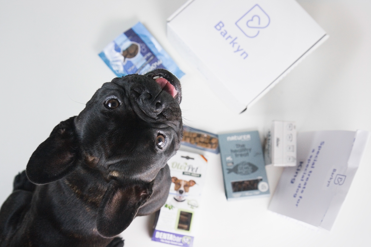 使你的狗快樂所需的一切—寵物用品包裝設計