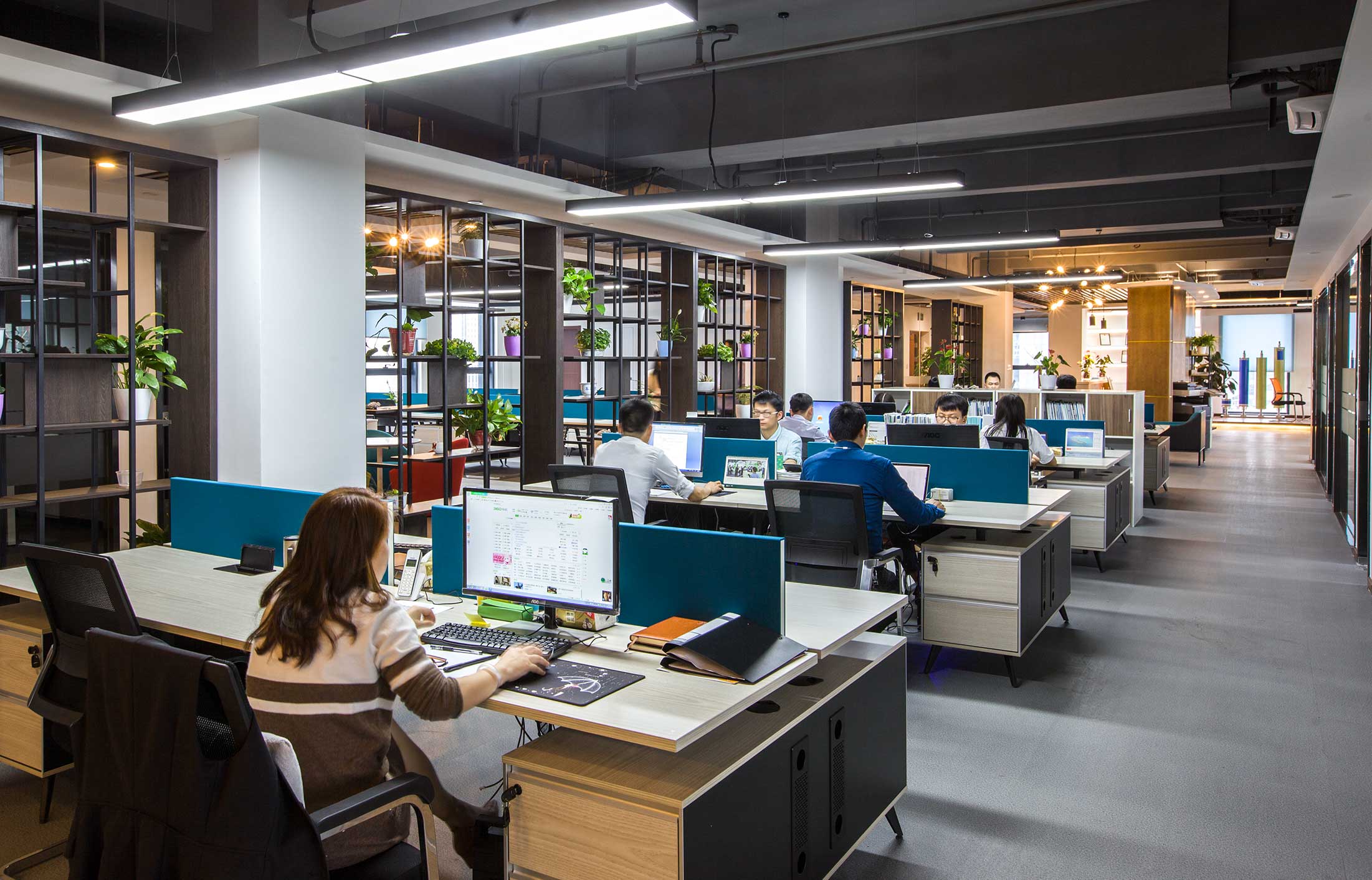 碟濾膜品牌全案設(shè)計